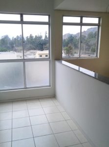 Paineira, Engenharia com experiência